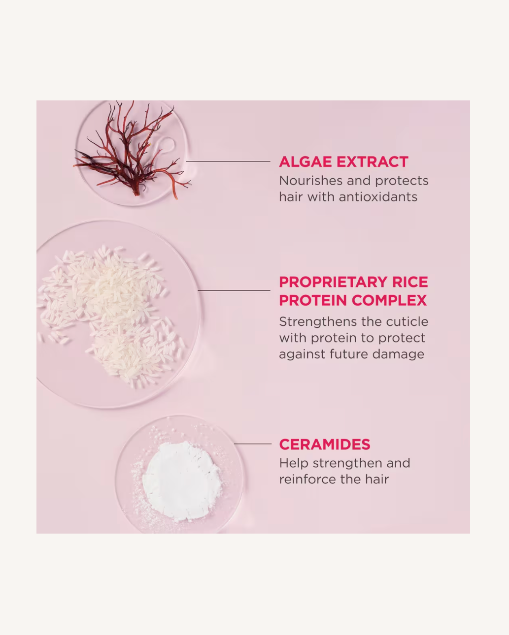 Briogeo Dont Despair, Repair! Rich Rice Water Shampoo Concentrate