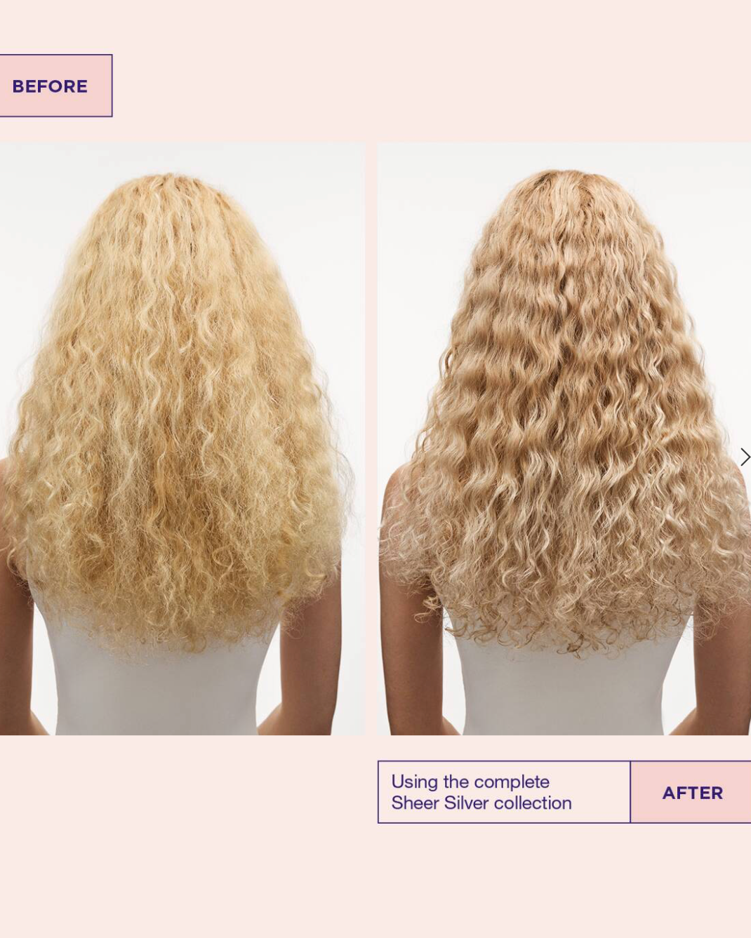 Maria Nila Sheer Silver Masque